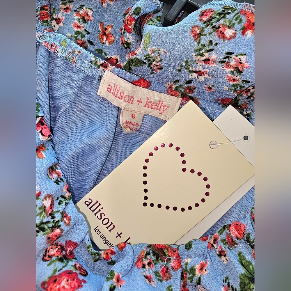 NWT allison + kelly Long Sleeve Dress w/built-in Shorts Floral Blue Casual - Sz6 - Picture 2 of 6